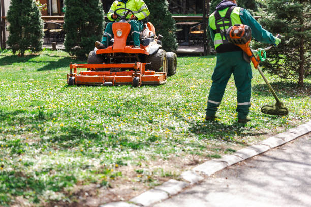Professional Lawn & Turf Care